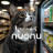 nuonu - Kringel